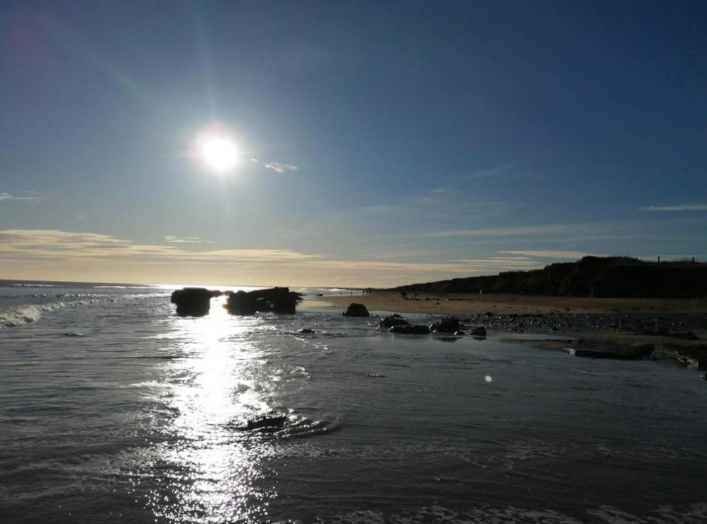 Dalis Den Bridlington