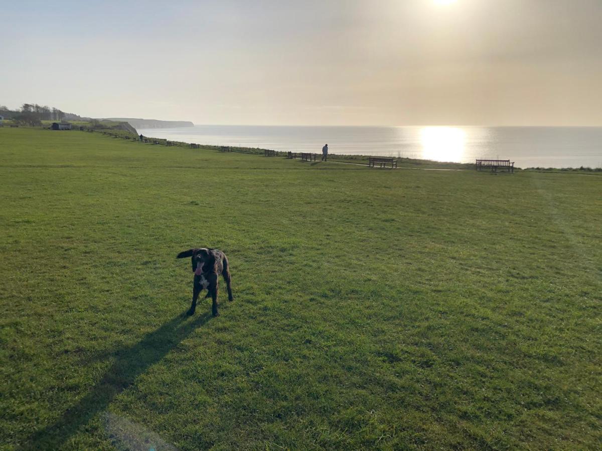 Dalis Den Holiday home Bridlington
